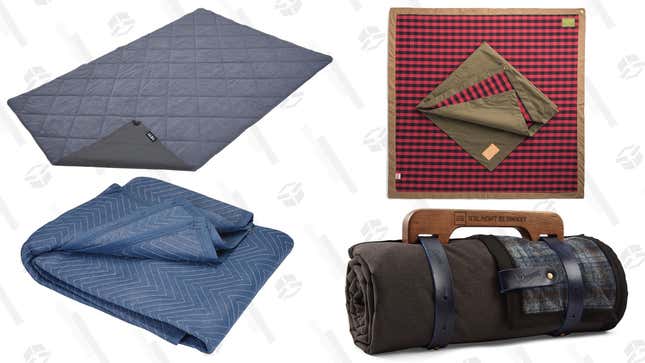 Image for article titled These Are Our Readers&#39; Four Favorite Picnic Blankets