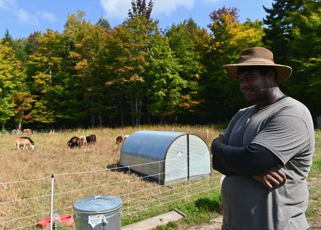 Justin Butts, livestock manager at Soul Fire Farm checks livestock on September 25, 2020 in Petersburg, New York.