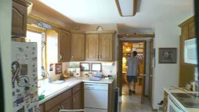 Man Spends 15 Years Building Elaborate Home for His Family Of Cats