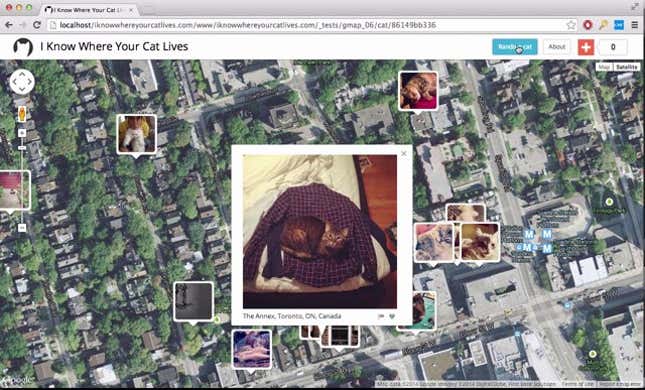 Someone's Figured Out Where One Million Internet Cats Live