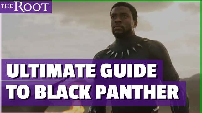 Watch: Everything You Need to Know About <i>Black Panther, </i>Explained