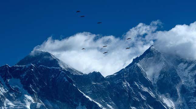 Birds fly over Mount Everest.