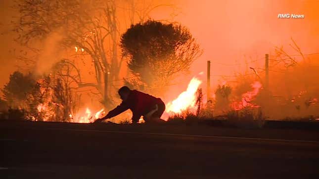 Hero On The Side Of The Road Saves Wild Rabbit From Raging Wildfire