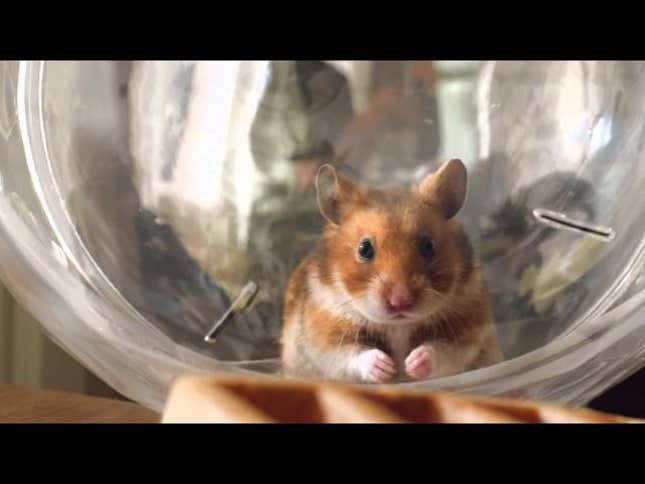 Sorry, Sprint's New Commercials Are Bad. I Dislike Them.
