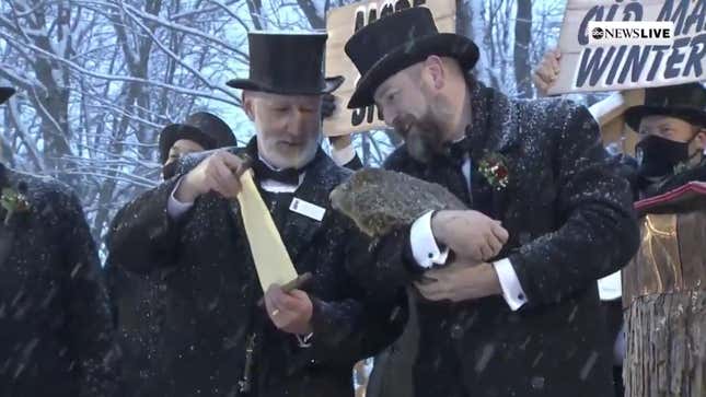 Image for article titled The Groundhog Is Clueless But I Respect Him Anyway