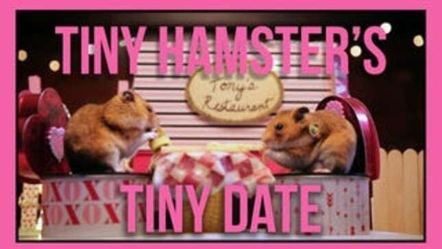 Tiny Hamster Celebrates Valentine's Day With A Tiny Date
