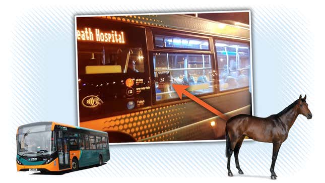 Image for article titled Horse Rides Bus