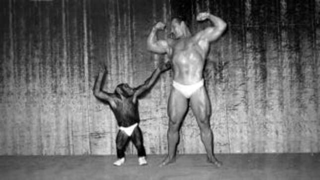 Why Are Men Obsessed With Fighting Chimps?