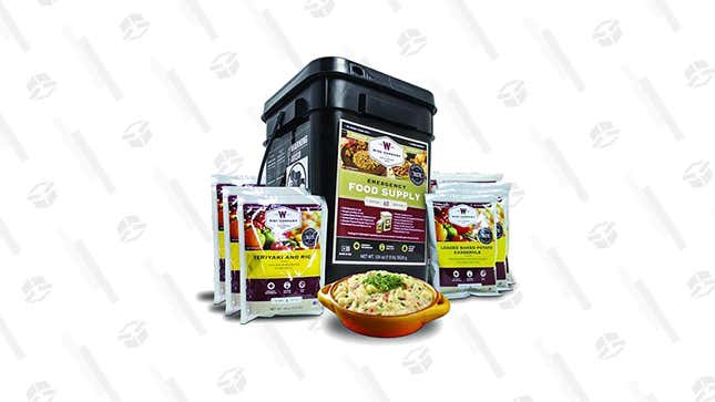 Wise Company Emergency Food Preparedness Kit 60 servings | $53 | Amazon
  Wise Company Emergency Food Preparedness Kit 170 servings | $70 | Amazon 