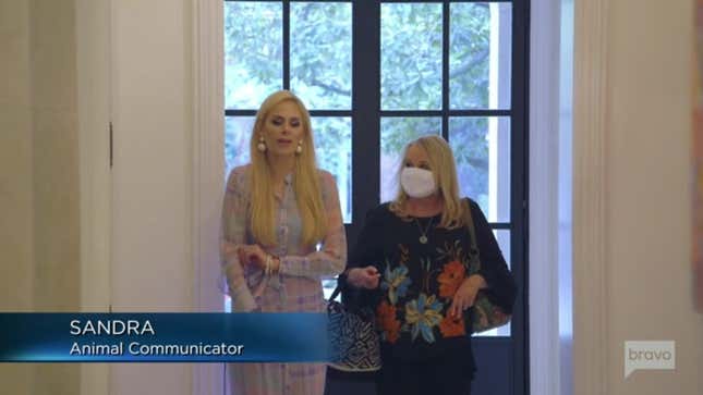 Image for article titled The Real Housewives of Dallas&#39;s Brief Encounter With a Pet Psychic Has Left Me Shaken