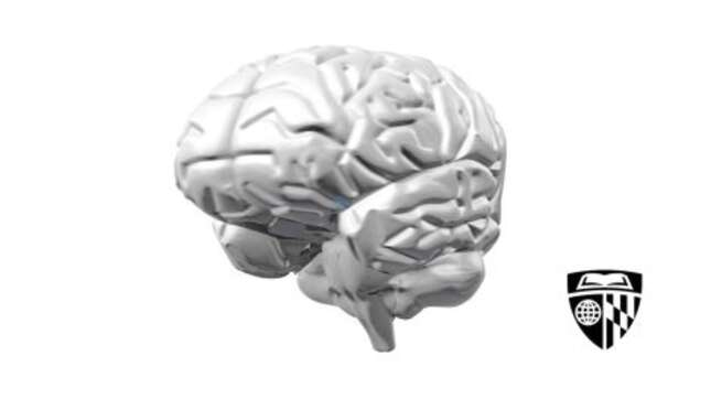 Brain Training Might Actually Work If It's the Right Method<em></em>