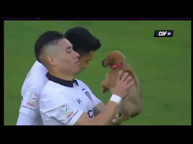 Adorable Little Doggie Mascots Are The Best Mascots