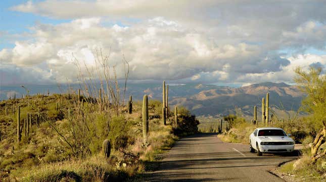 Image for article titled Your Ridiculously Awesome Dodge Challenger Wallpapers Are Here