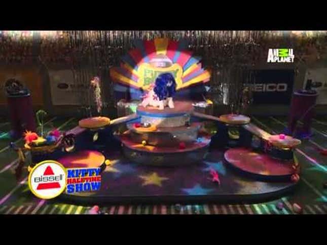 Puppy Bowl Half Time Show Features Musical Superstar Katty Furry