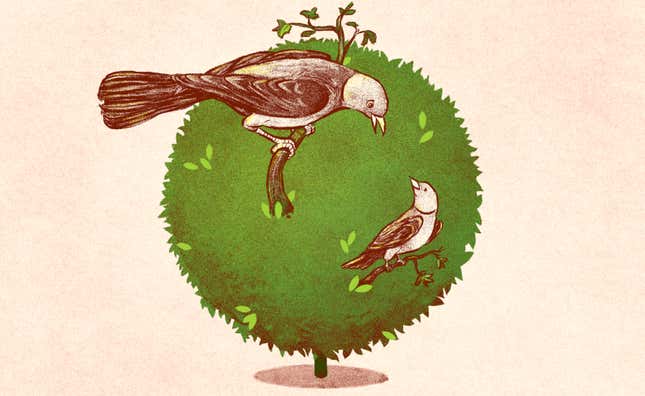 Illustration by Jim Cooke/GMG.