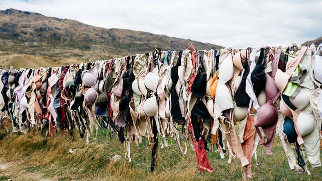 Image for article titled Hey, Maybe Wash Your Bra Every Once in a While?