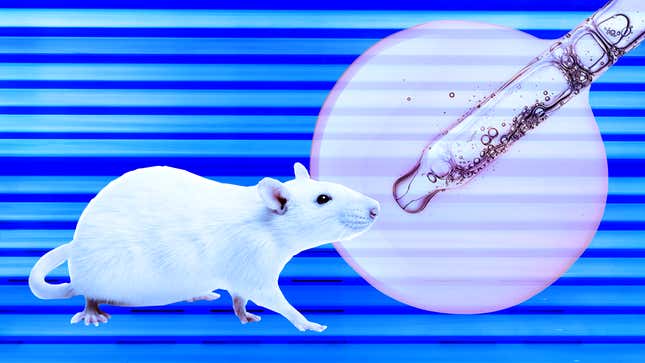 Image for article titled Blue Light and Essential Oil Compound Treat Antibiotic-Resistant Skin Infections in Mice