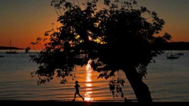 Check This Out: Mornings