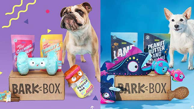 $19 For Your First Month of BarkBox | Amazon