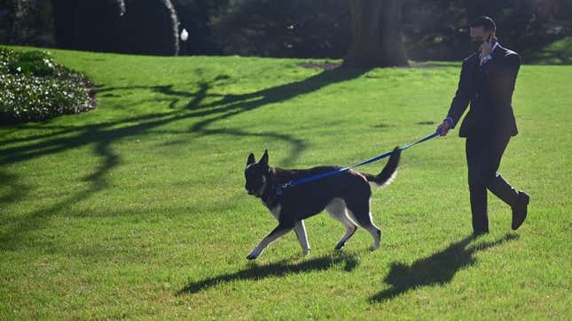 Image for article titled Why Is the Media Attacking Certified Good Boy Major Biden?