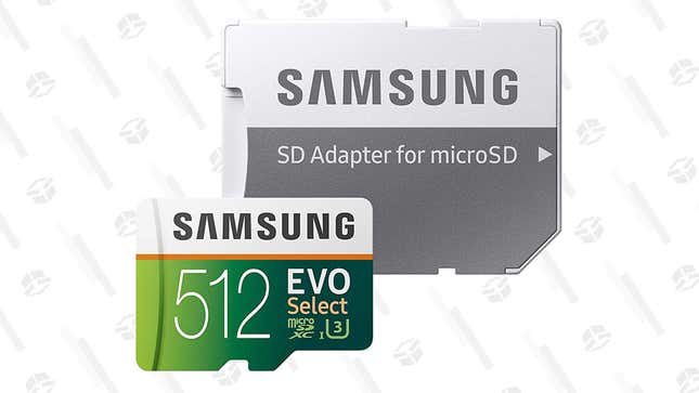 

Samsung 32GB MicroSD Card | $5 | Amazon
Samsung 64GB MicroSD Card | $10 | Amazon
Samsung 128GB MicroSD Card | $17 | Amazon
Samsung 256GB MicroSD Card | $28 | Amazon
Samsung 512GB MicroSD Card | $65 | Amazon 