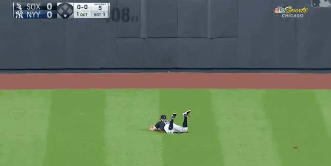 Adam Engel Makes Heroic Catch Despite Assault From Yankee Stadium Grass