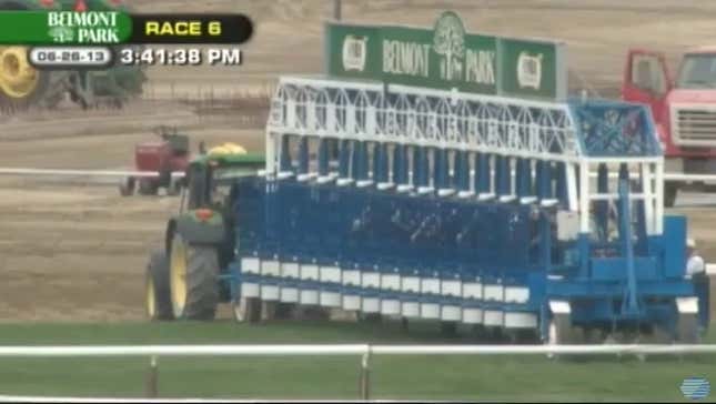 Emancipated Horse Ditches Jockey, Wins Race At Belmont
