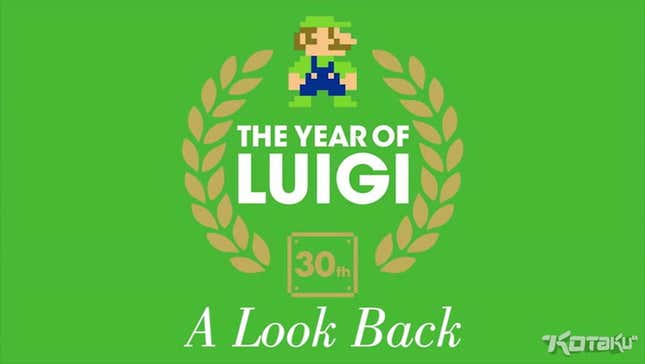 Let's Take A Look Back At This, The Year of Luigi