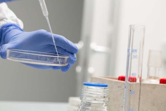 Image for article titled Woman Births Strangers' Babies After IVF Embryo Mixup
