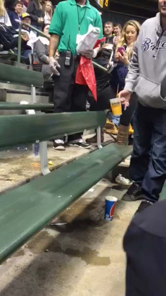 Puke Eating & Butt-Hat Licking: Yesterday In Disgusting Baseball Fan Behavior