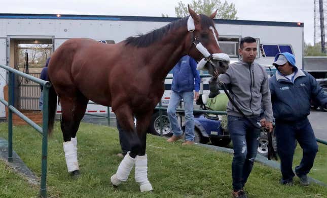 Horse Seeks Justice In Court
