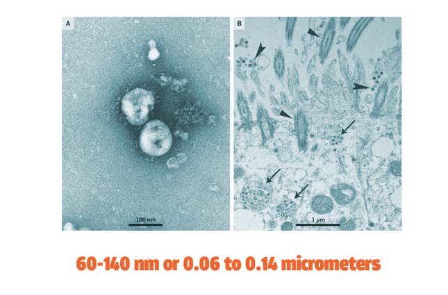 Filtre auto Tesla bioweapon defense mode contre coronavirus