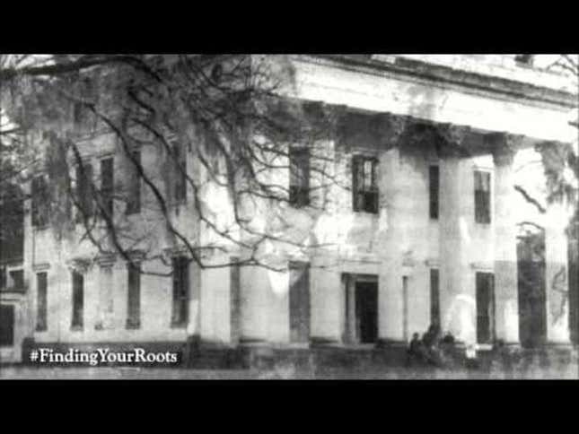 Finding Your Roots: Shonda Rhimes, Maya Rudolph and Keenen Ivory Wayans Learn Shocking Facts About Their Families