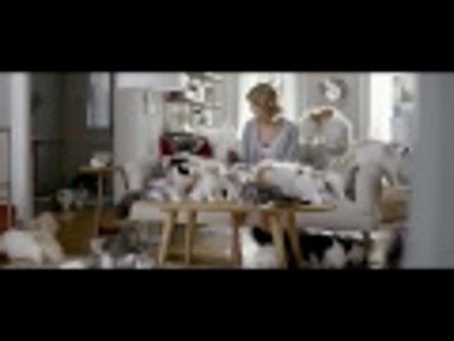 Taylor Swift Drinks Diet Coke, Makes Roomful of Cats Magically Appear