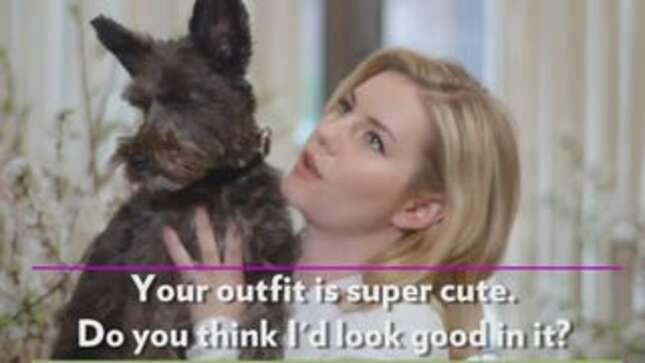 Videos of Pets Interviewing Their Celebrity Owners Aren't Crazy At All