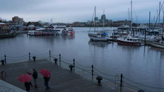 People walk under the rain near boats docked off downtown Victoria, British Columbia, on January 21, 2020.