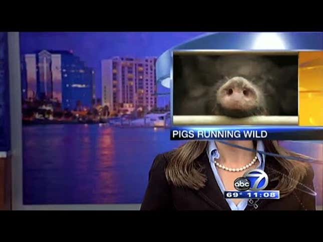 We Interrupt This Program For The Best News Bloopers Of 2014