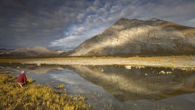 The Arctic National Wildlife Refuge in Alaska. Save this place!