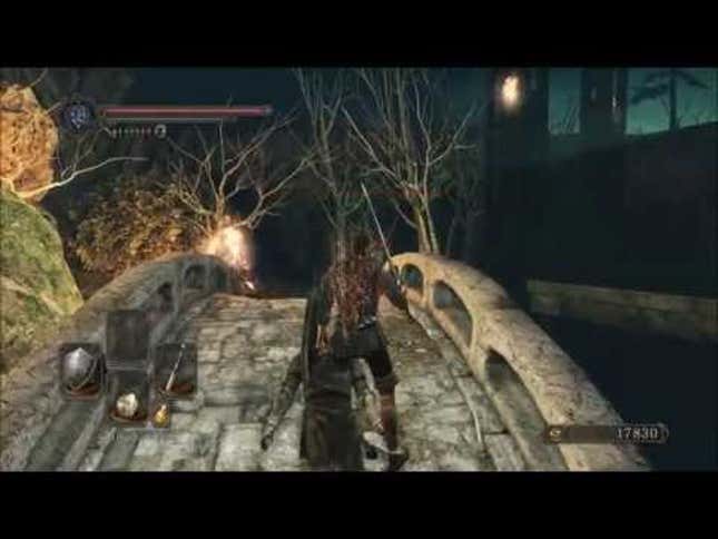 No One's Sure Why Players Are Suddenly Getting Banned In <i>Dark Souls II</i>
