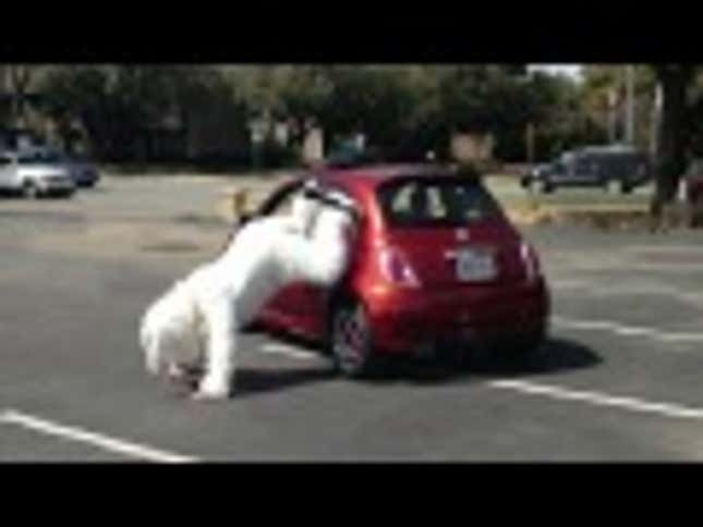 Fiat's New Ad Campaign Is Horrible, Again
