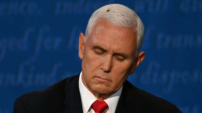 A fly rests on the head of US Vice President Mike Pence as he takes notes during the vice presidential debate against US Democratic vice presidential nominee and Senator from California Kamala Harris on October 7, 2020, in Salt Lake City, Utah. 