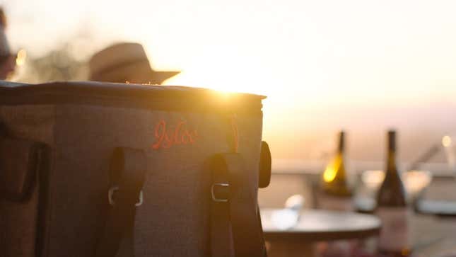 Now <i>This</i> is a Picnic Basket