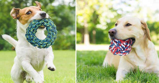 DELOMO Dog Rope Toy, 3-Pack | $12 | Amazon | Promo code 4XKZFXCF