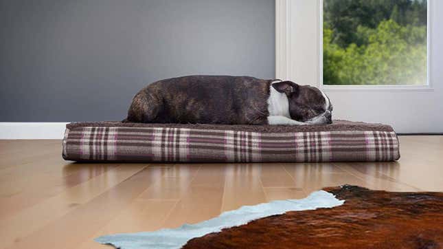 Furhaven Pet Dog Bed | $8 | Amazon
