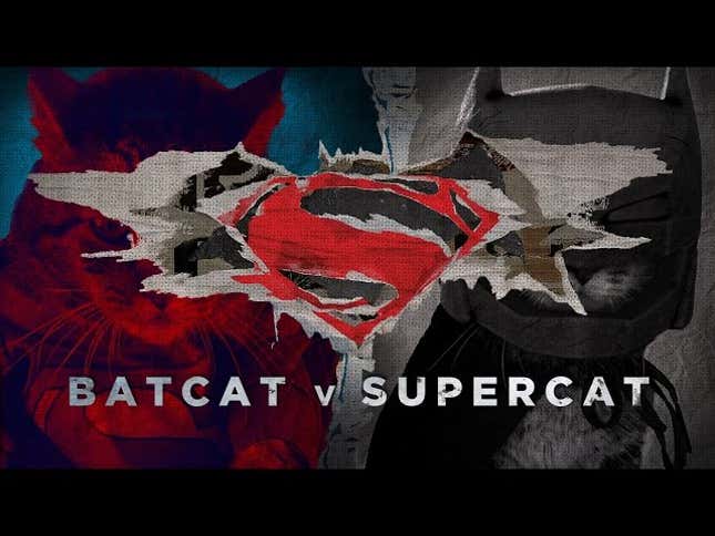 <i>Batman V Superman</i> would be less depressing with cats in the lead roles