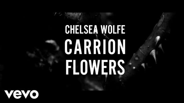 Deadspin Up All Night: Carrion Flowers
