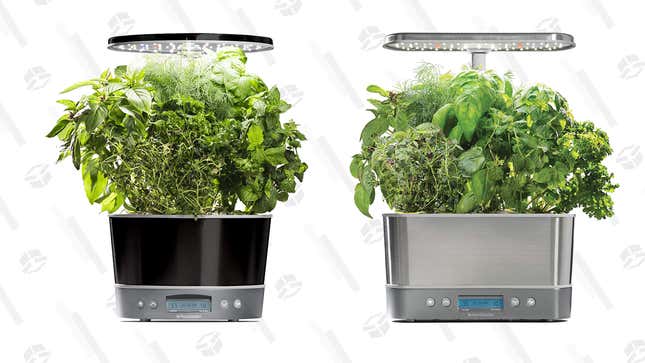 AeroGarden Harvest Elite 360 | $85 | Amazon
AeroGarden Harvest Elite | $90 | Amazon