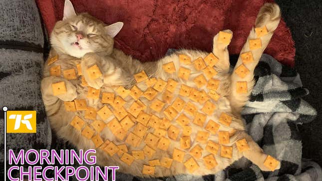 Image for article titled Where Did All The Cheez-Its Go?