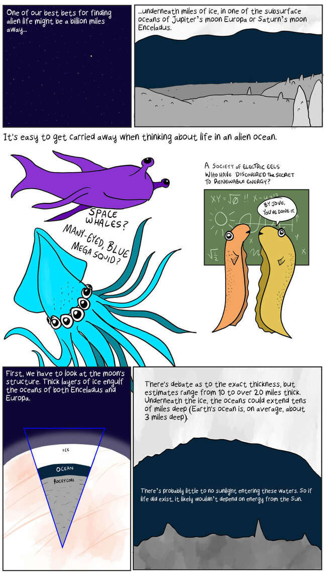 Image for article titled What Would Life on an Ocean Moon Look Like?