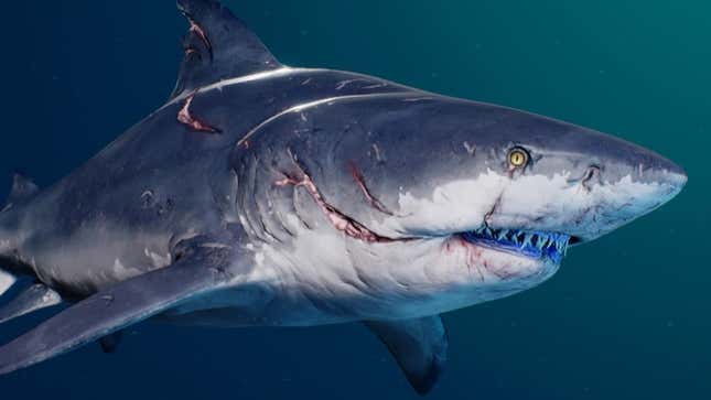 The Story Behind the Upcoming Shark Game Maneater